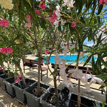 Sea Club & Grant - Flamingo Terrace - Apartment Sweti Wlas