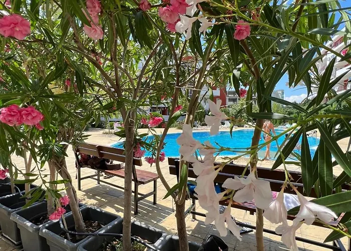 Sea Club & Grant - Flamingo Terrace - Apartment Sveti Vlas